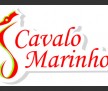 CAVALO MARINHO